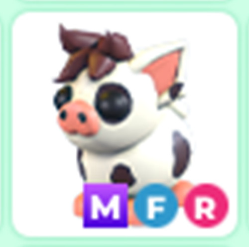 MFR Mini Pig - Cheap & Trusted Store!!