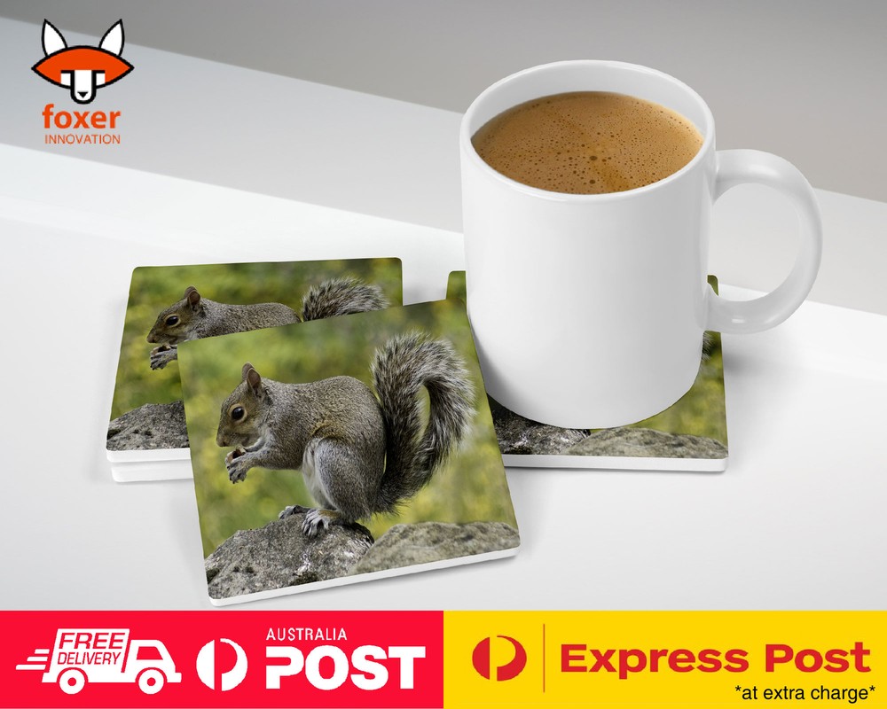 COASTER COFFEE DRINKING MAT|CUTE ADORABLE SQUIRREL RODENT #26