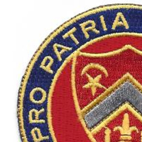 245th Field Artillery Regiment Patch