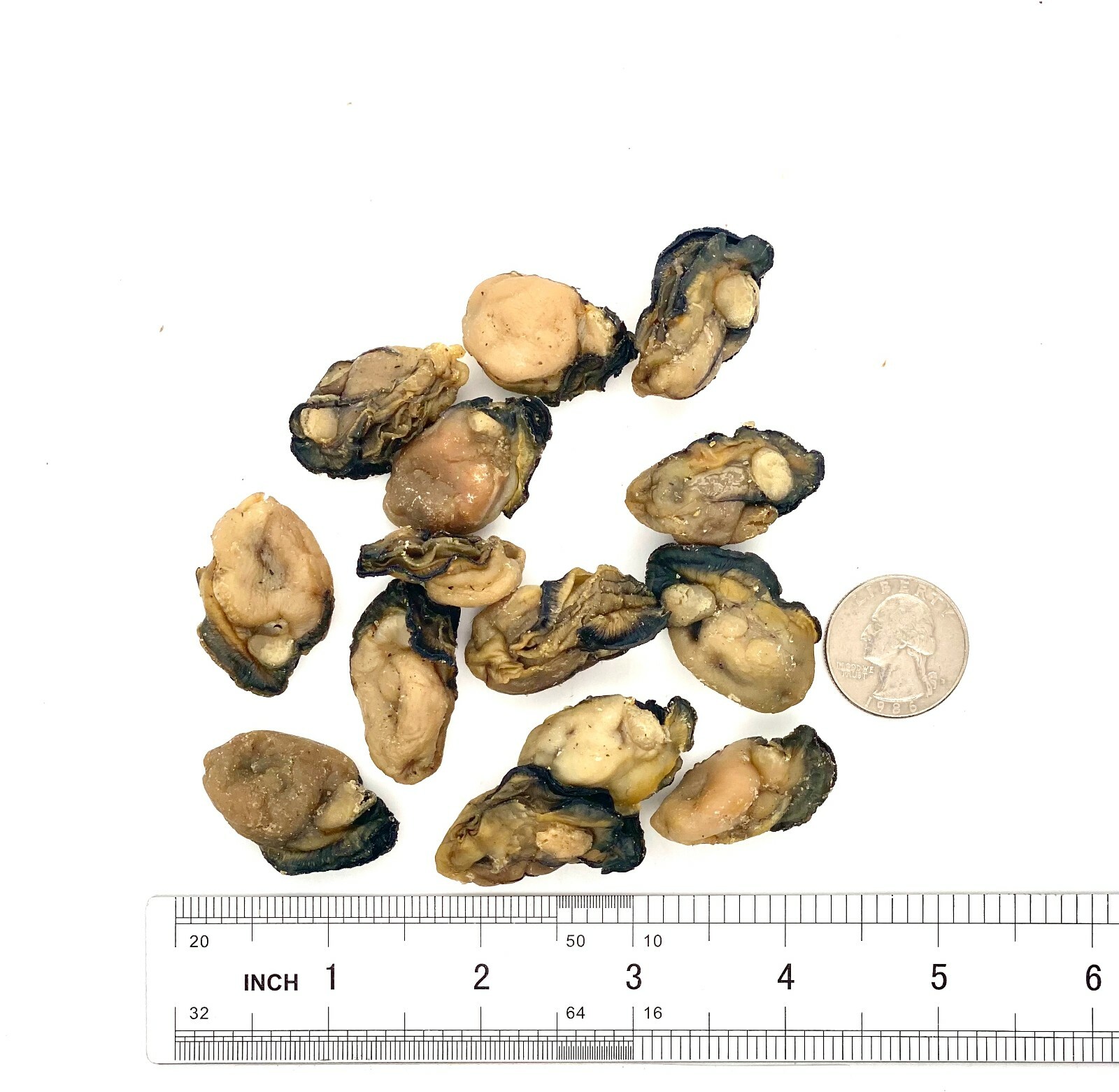 Greenlike Dried Oysters 100% Natural Dried Seafood Hao Shi Hai Li 蠔豉 蚝豉 生蚝