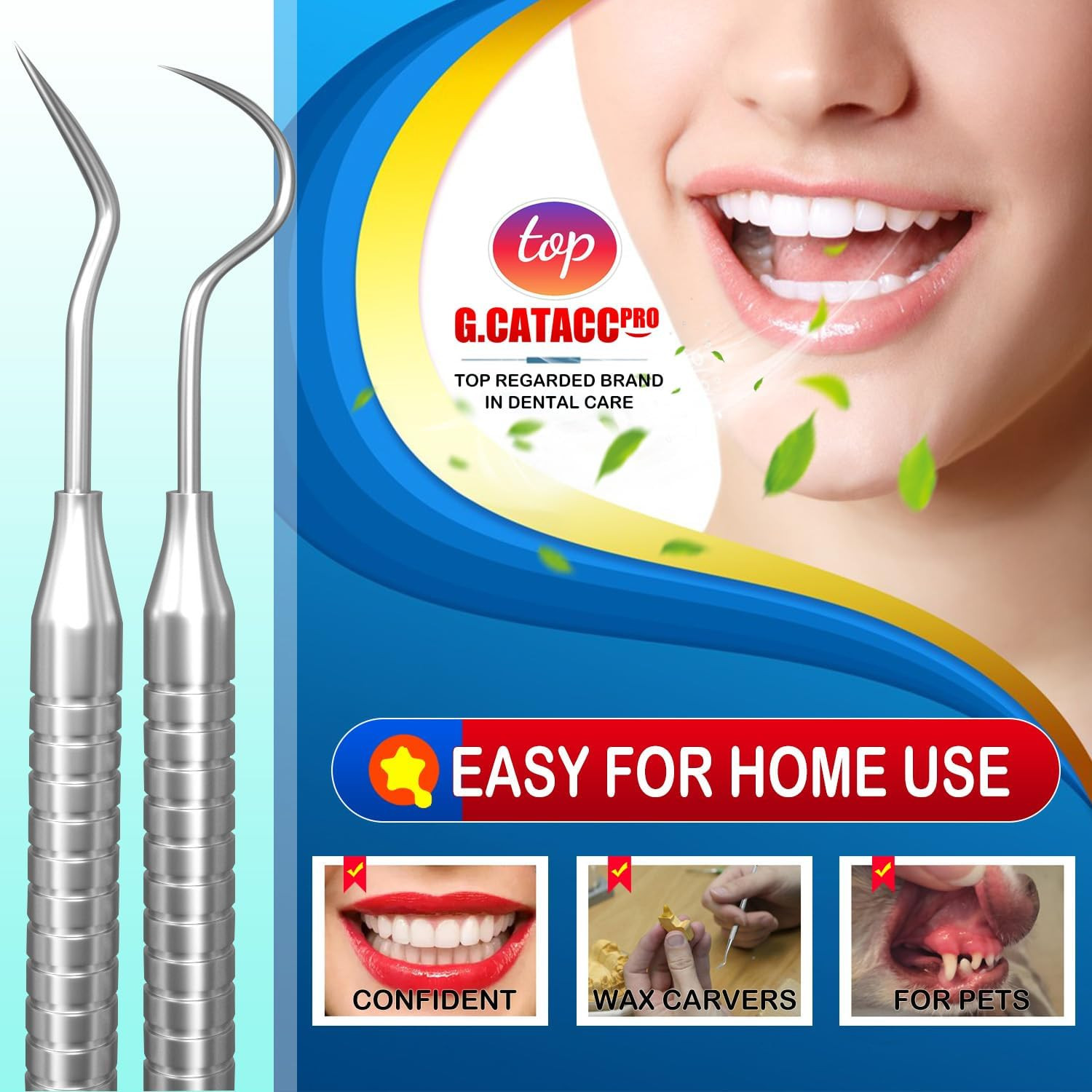 Dental Tools, Dental Pick for Teeth Cleaning, Stainless Steel Hygiene Kit with T