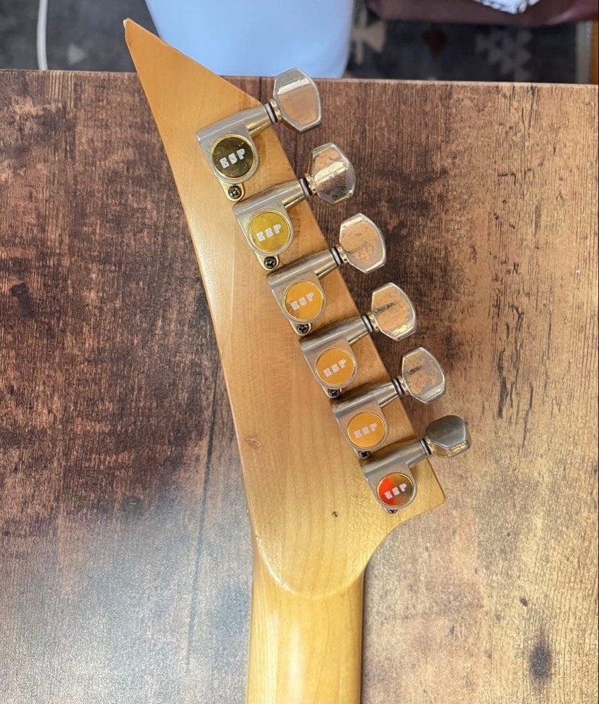 ESP Guitar Gig Bag Strap Safe Packing!