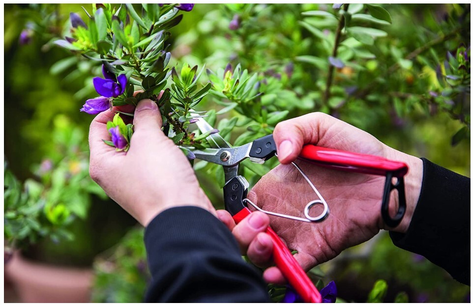 Felco 322 Picking & Trimming snips with steel handles,straight 190mm blade