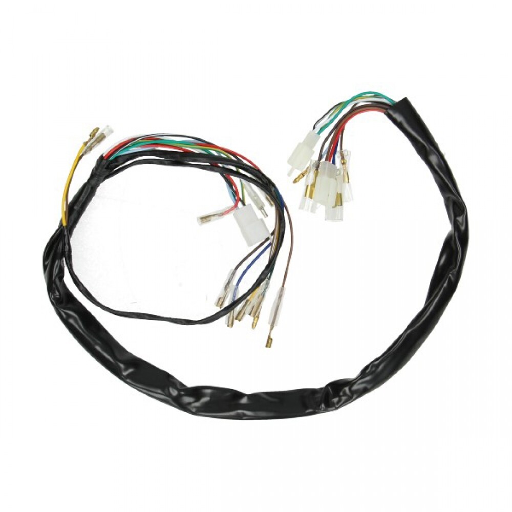 Wiring Harness FS1 DMP
