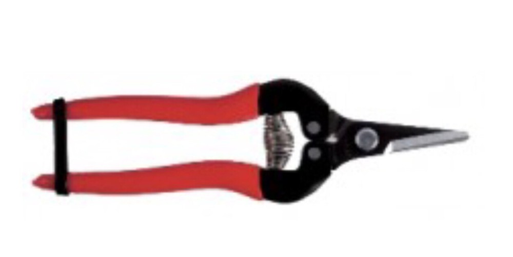 ARS 300SS Short Blade Fruit Pruner 170mm