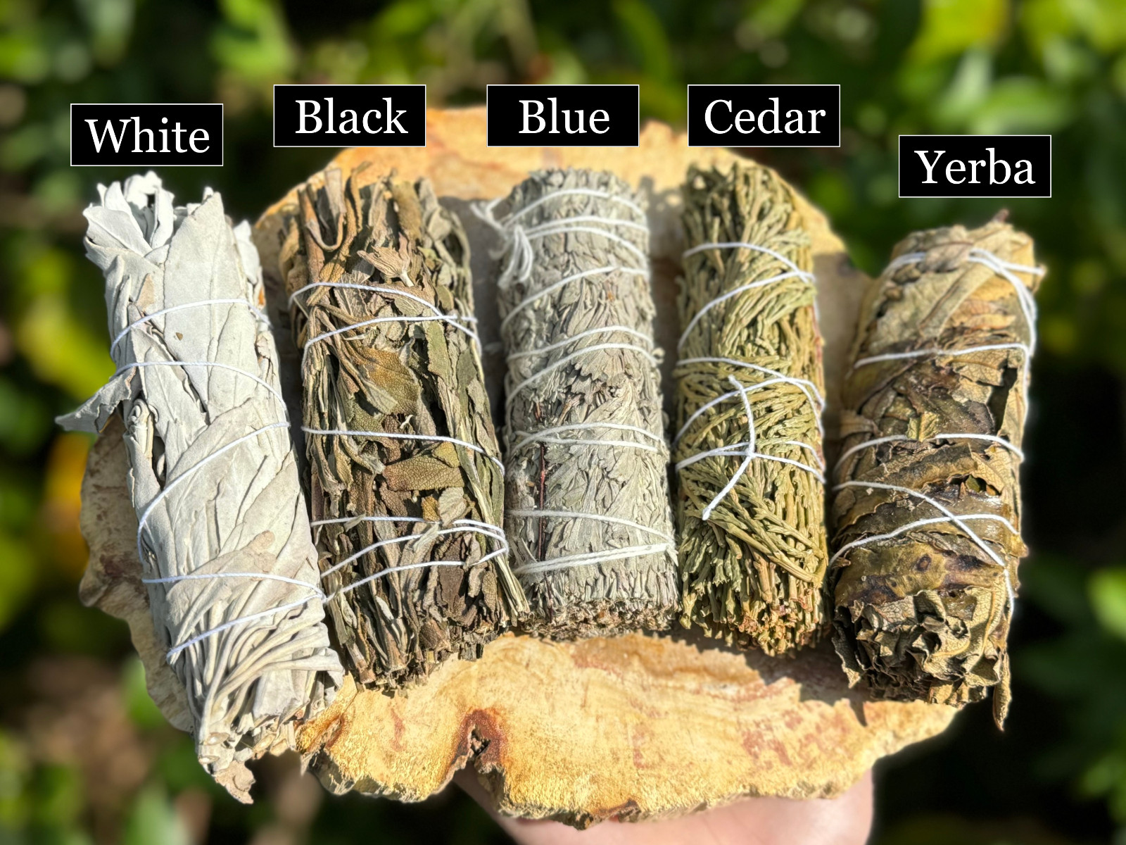 5 Smudge Stick SAMPLER: Black Sage Blue Sage Cedar Sage White Sage Yerba Santa
