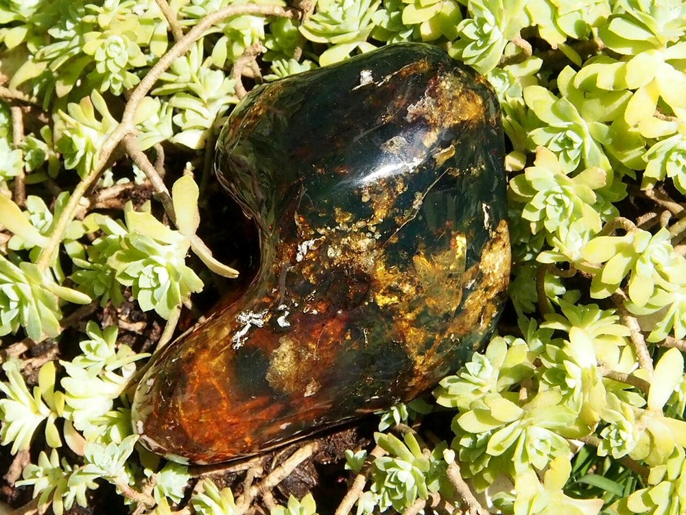Fully Polished Mexican Amber 132.7 g
