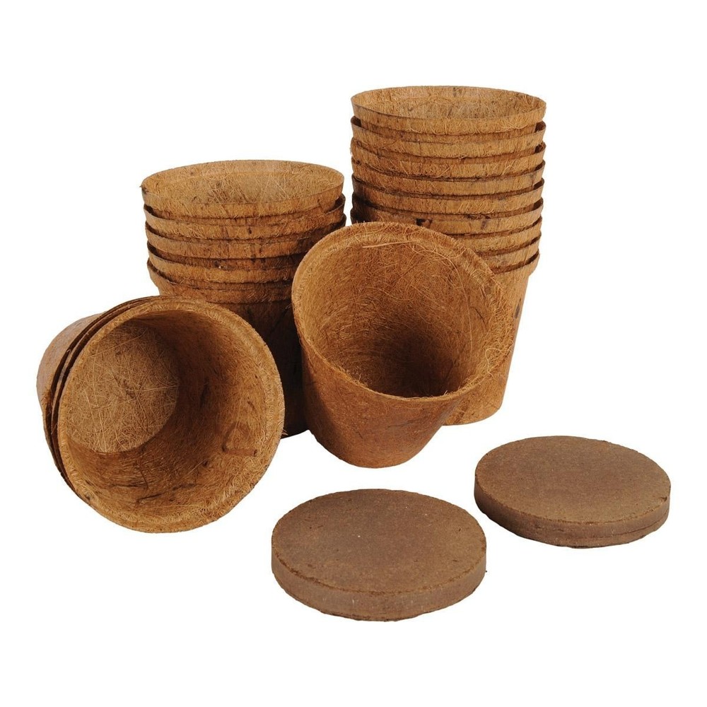 Silver Circle Growing Flowers Classroom Kit