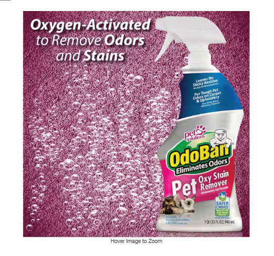 Pet Oxy Stain Remover (2-Pack) 32 Oz.