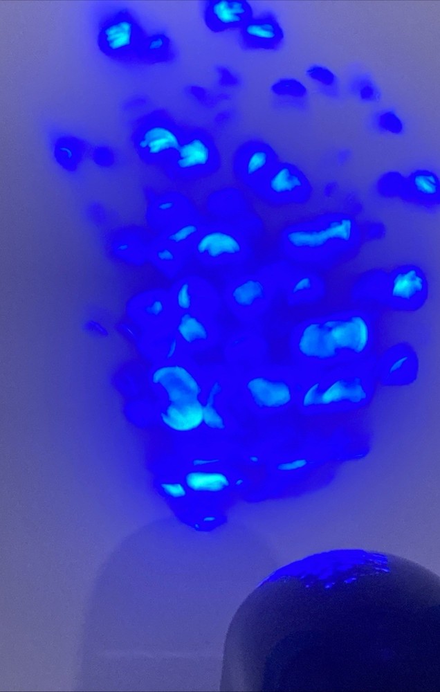 Rabbit Tanaka LED Disco Party Light Table Or Ceiling Mounted No Bulbs Needed FUN