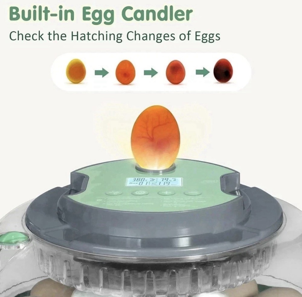 Egg Hatching Digital Automatic Turning 18 Egg Incubator With Egg Candling Light