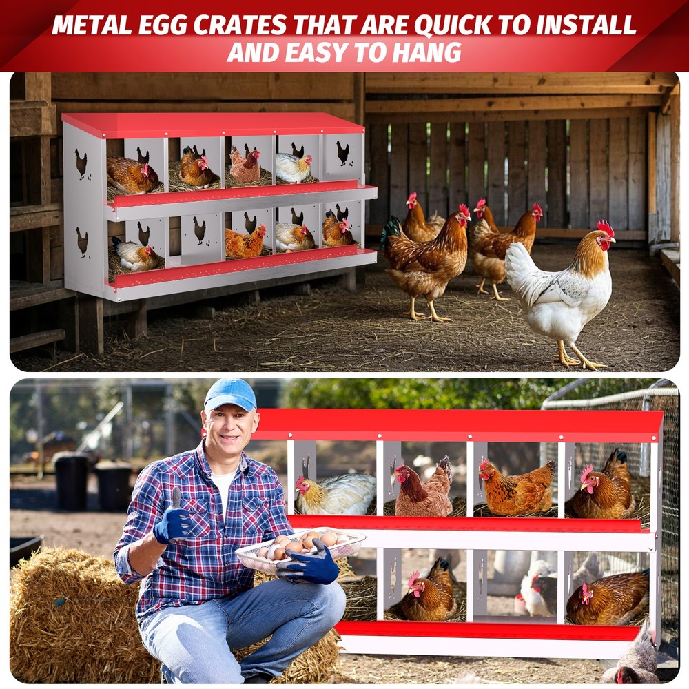 10 Holes Chicken Nesting Box, Metal Chicken Nesting Boxes, without Bracket Legs