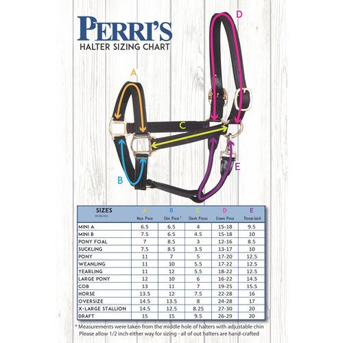 Perri's Leather Ribbon Safety Halter