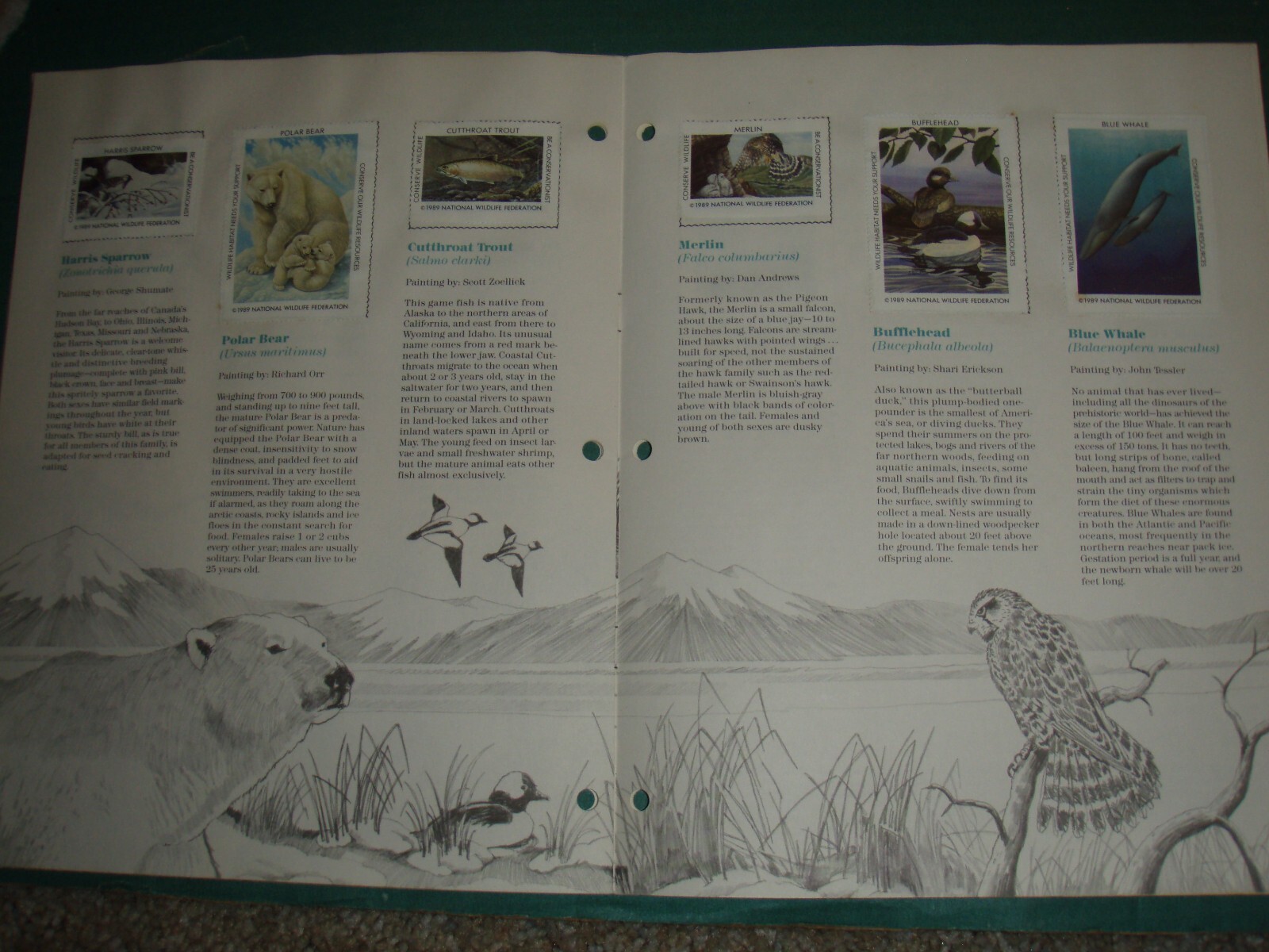 usa stamps collections lots-19th century forward on old album pages