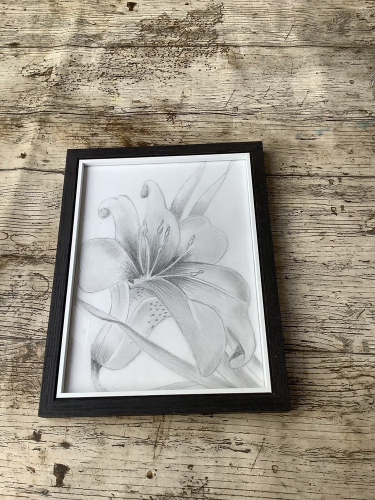 Lilly Drawing Picture