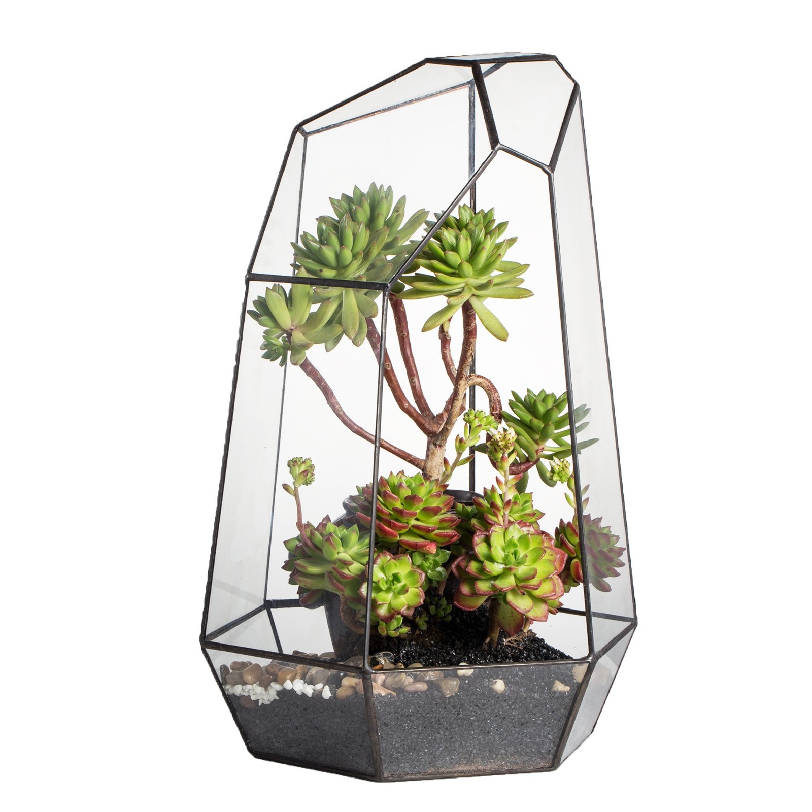 NCYP Large Geometric Terrarium - 16 Inches Tall Irregular 10.4"x9"x16", Black