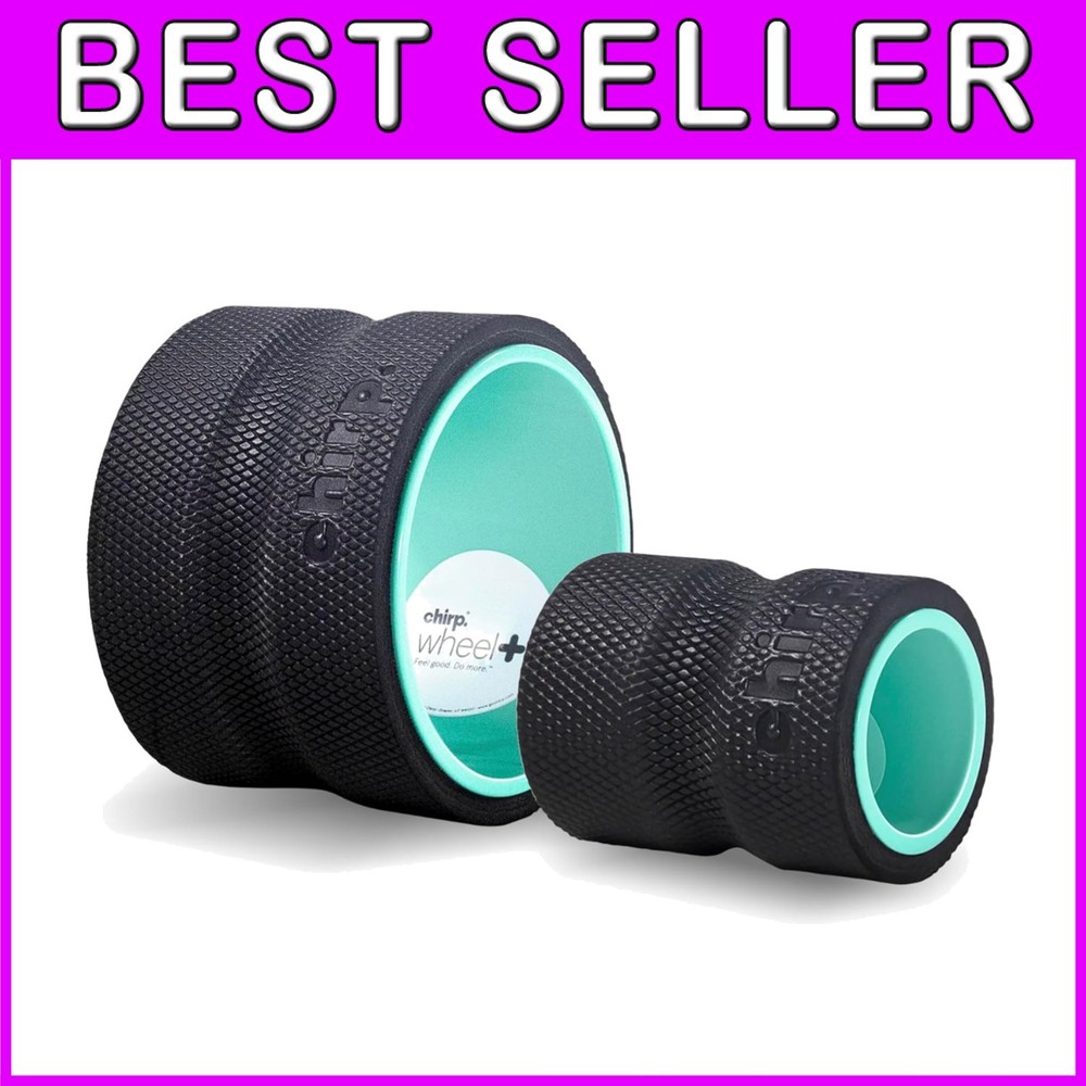 Spinal Decompression Stretcher - 2-Pack Mint