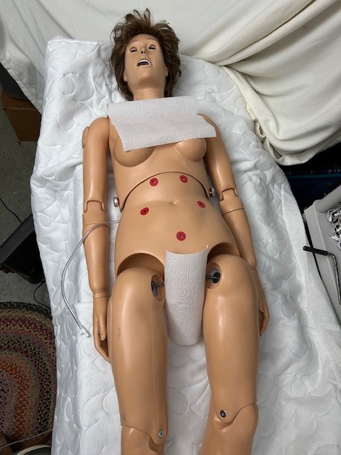 Gaumard Simple Susie Nursing Care Training Patient Simulator Manikin Mannequin