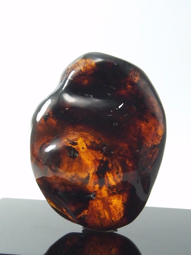 Fully Polished Mexican Amber 118.3 g