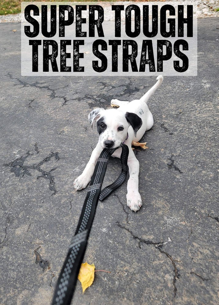 Mooseknuckle Outdoors Double Camping Hammock (Blue)