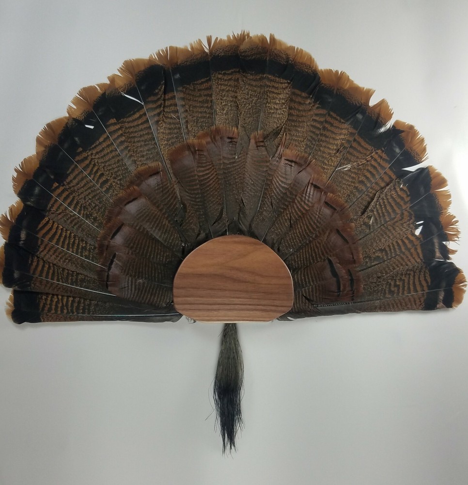 Turkey Fan and Beard mounting kit (WALNUT)