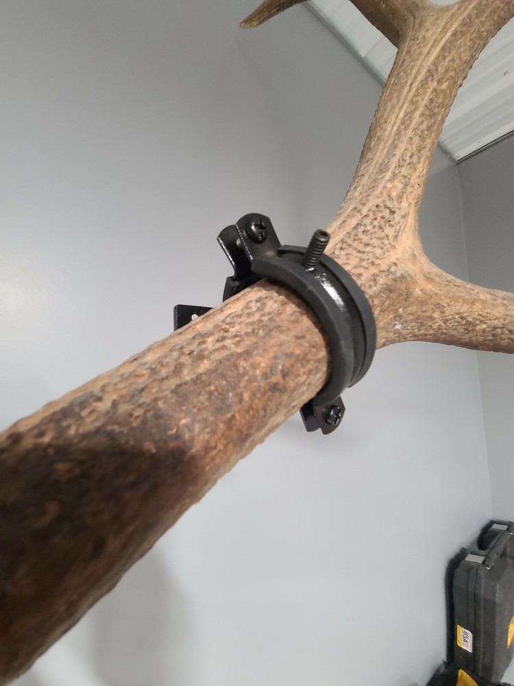 Elk Shed Mounting Clamp (two tone)