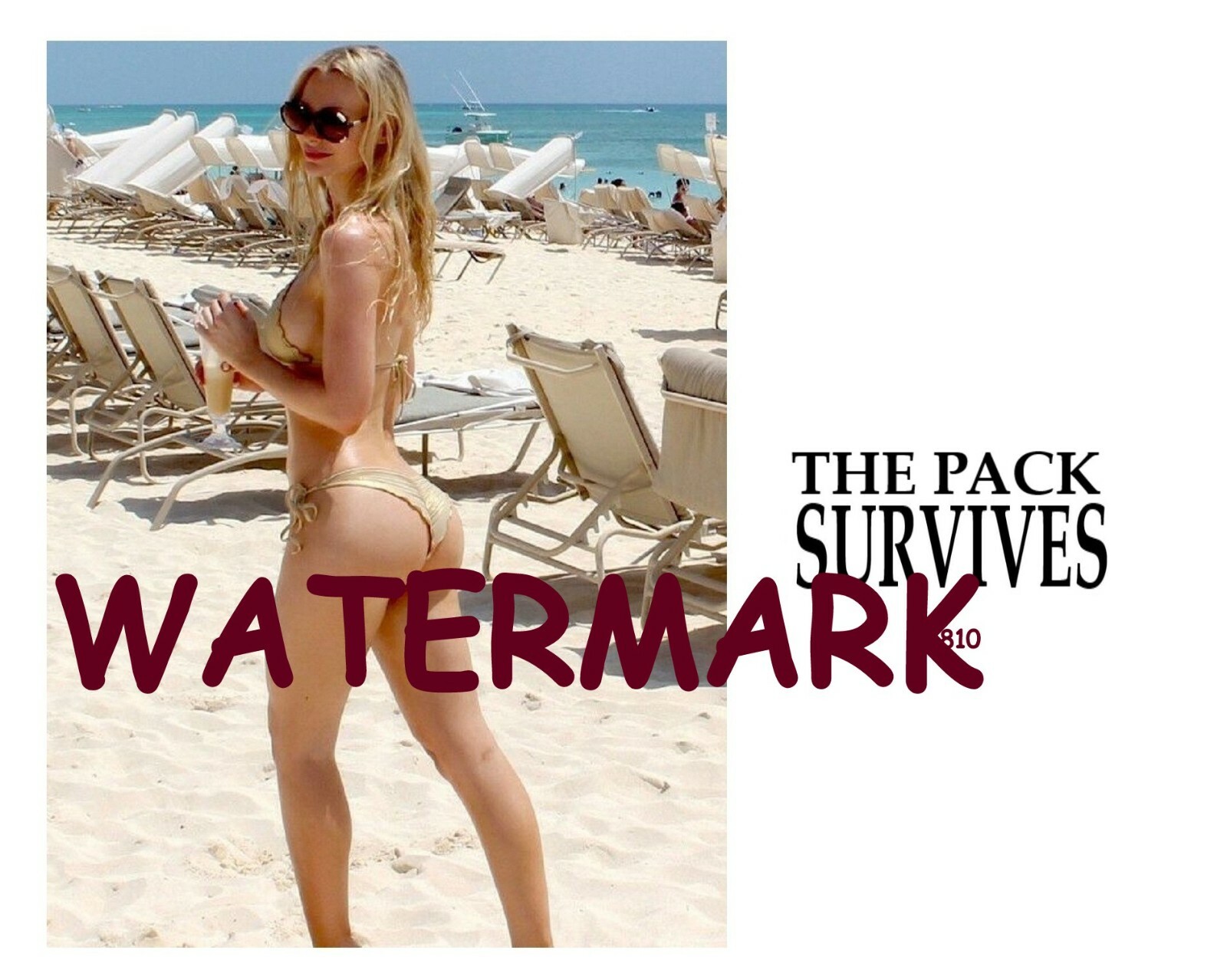 GAME OF THRONES SOPHIE TURNER THE PACK SURVIVES 8X10 QUOTE PHOTO