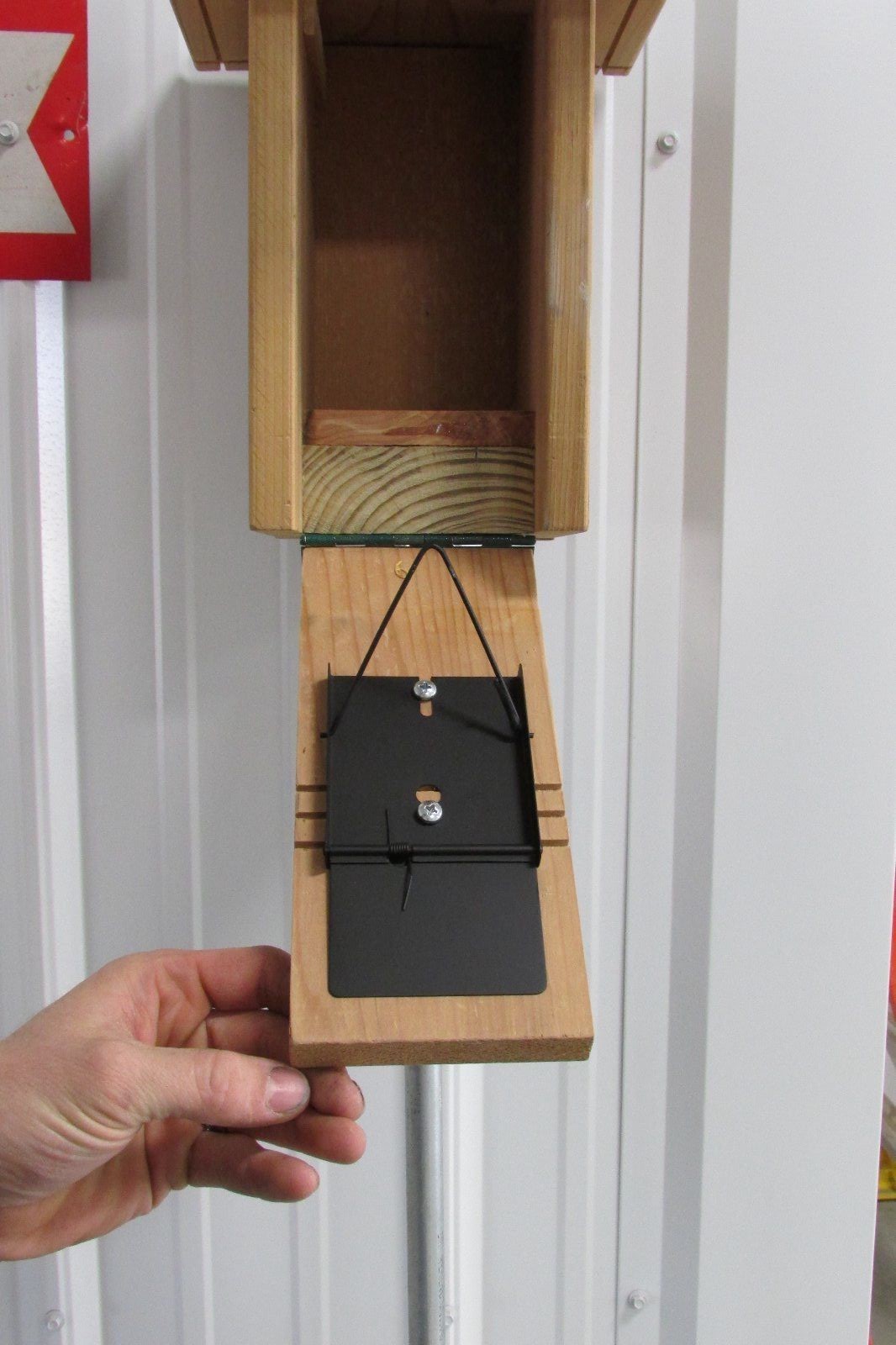 Van Ert Universal Sparrow Trap