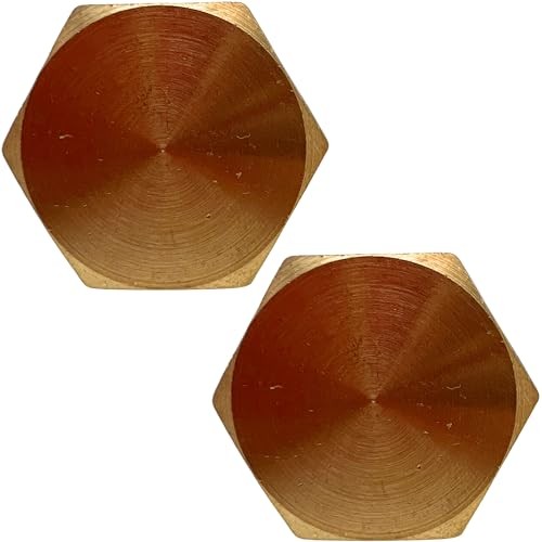 2 Pack Brass Pipe Plug Outer Hex Head Socket Plug Fitting for 3/4" NPT Male