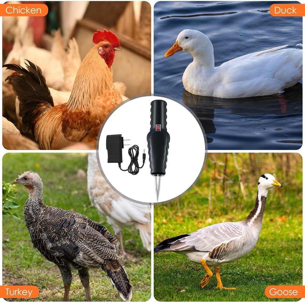 Efficient Electric Feather Plucker for Ducks, Geese & Turkeys - Compact Size