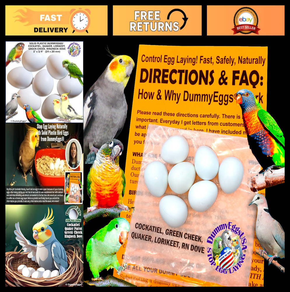7 Cockatiel Dummy Bird Eggs - Stop Brooding & Laying! Solid Plastic Fake Eggs fo