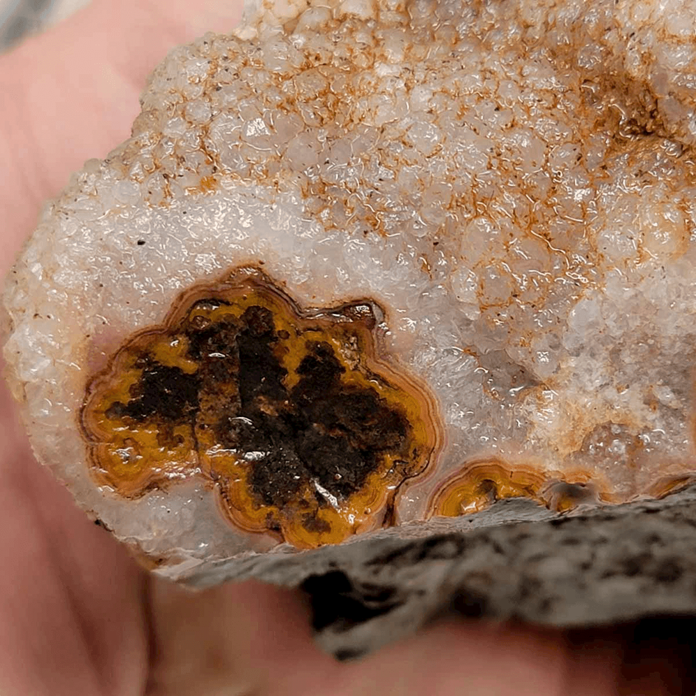 Moroccan Plume Agate Rough Chunk!