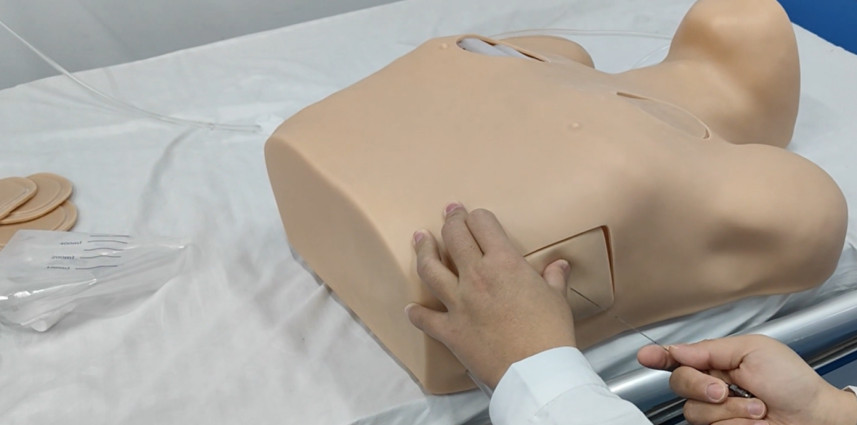 2pc Thoracic Puncture & Closed Drainage Training Model