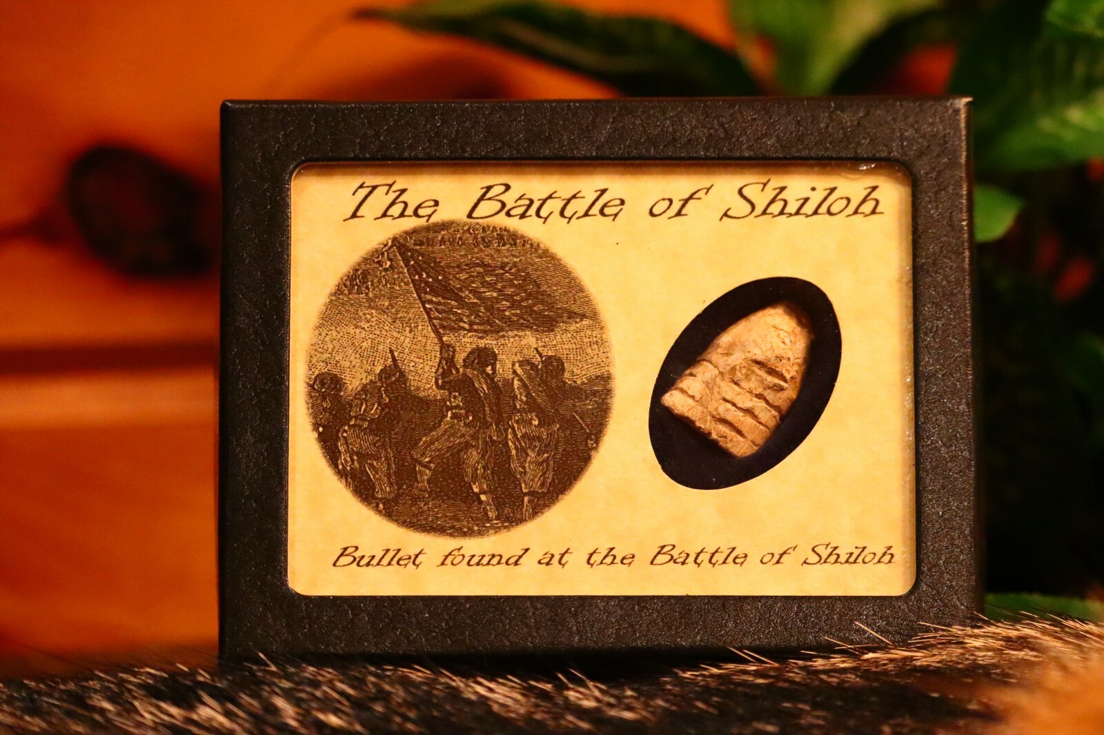 Civil War Bullet from The Battle of Shiloh, Tennessee with Display Case and COA