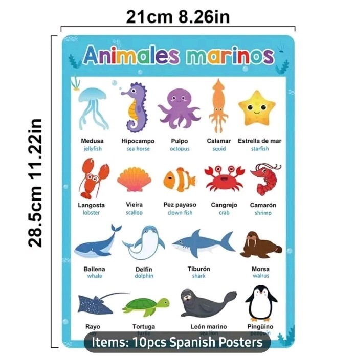 10 Theme Laminated Spanish Words Learning Chart Cards Classroom Teaching Aids