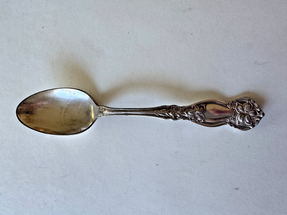 Wm Rogers & Son Orange Blossom Teaspoon Silverplate 1910 Floral 5.75”