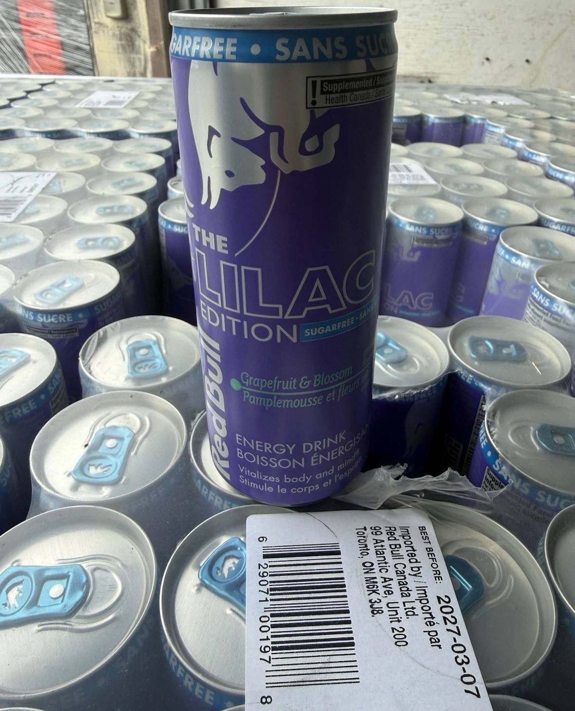 Red Bull Lilac Edition Sugar Free Grapefruit & Blossom 24 Pack 8.4 fl oz IN US!