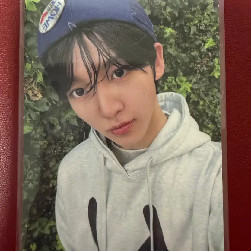 Kickflip Photocard Set with 4 Items Official