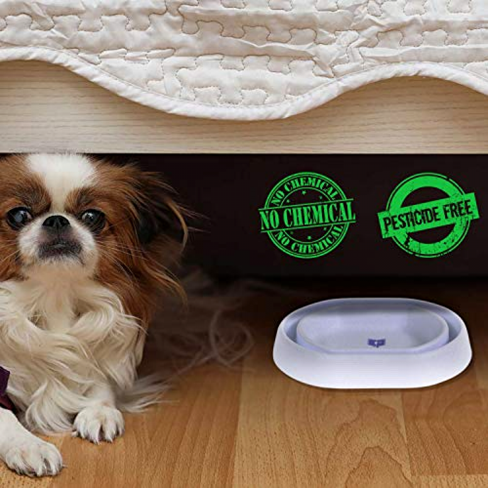 Bed Bug Trap 8 Pack White 3M Rubber Base Pads Included Pest Control Alternative