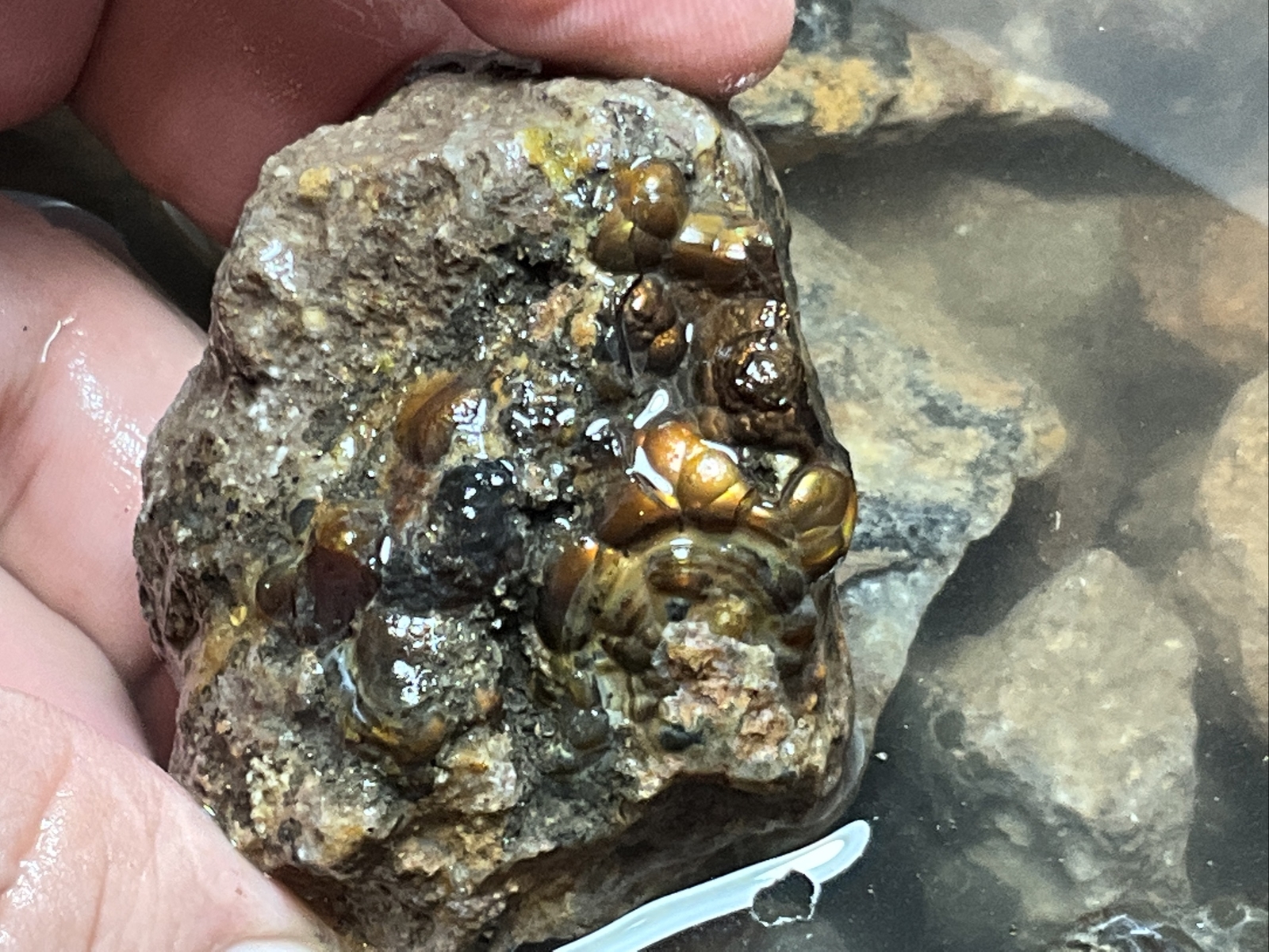 1/4 Pound Fire Agate Choice & Mid Grade Professionally Chosen Colorful Rough Lot