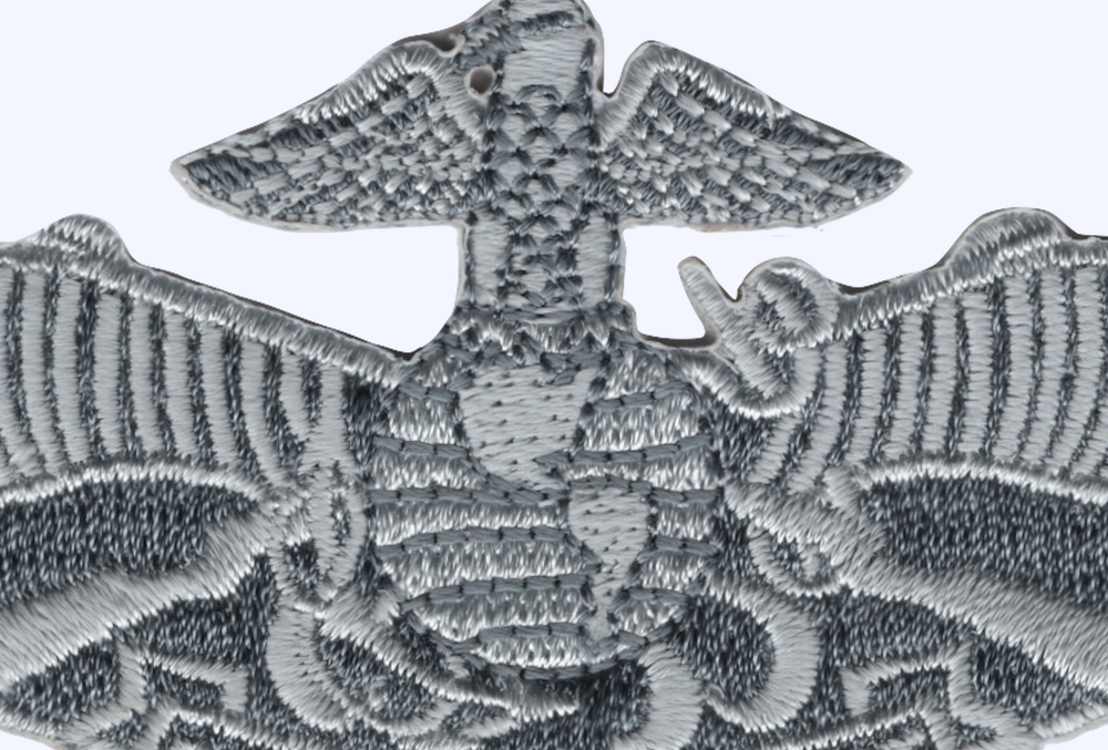 Fleet Marine Force Badge Patch