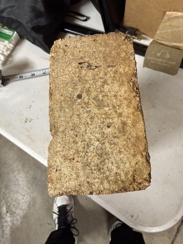 "Laclede Spallac" Brick