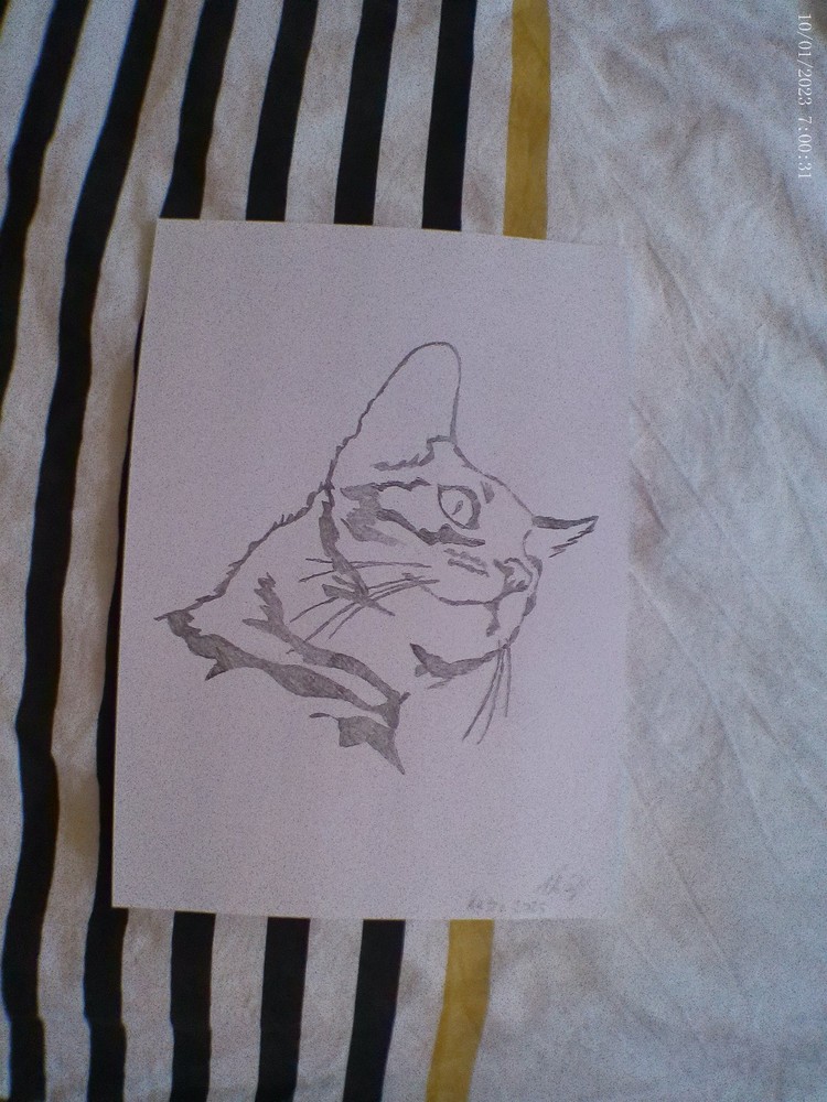 Cat pencil drawing, unique