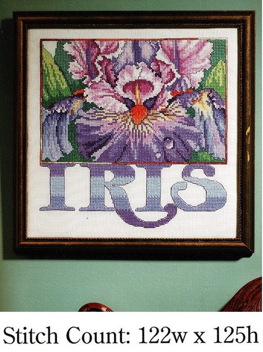 MAGNIFICENT IRIS   CROSS STITCH PATTERN ONLY  -  Y31