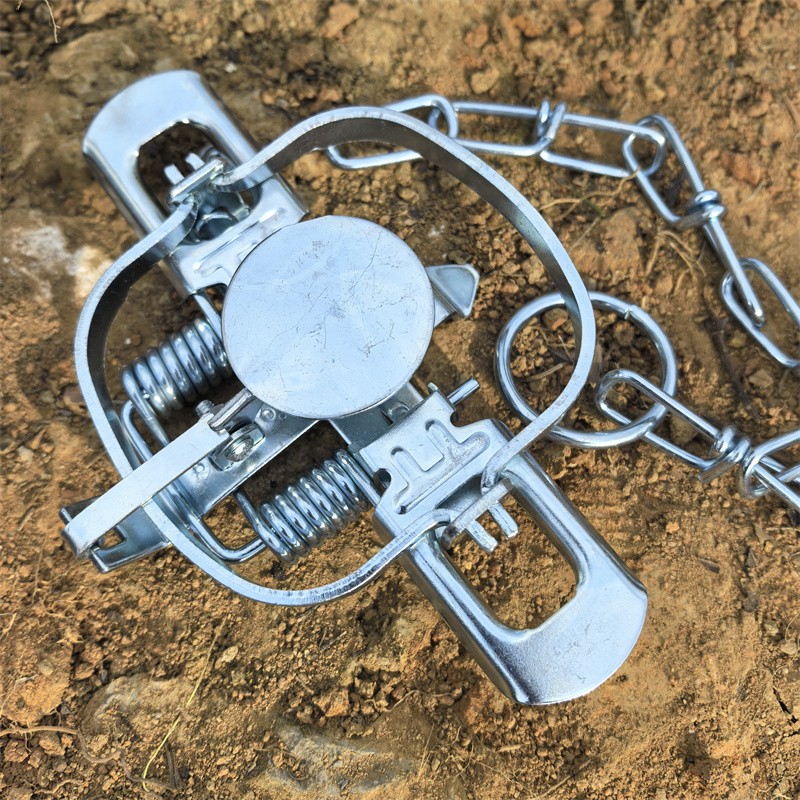 4-3/10 " Coil Spring Traps Raccoon Fox Nutria Muskrat Mink Rat Trapping Nuisance