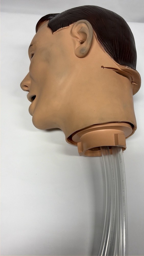 Medical Training Mannequin Dummy Head