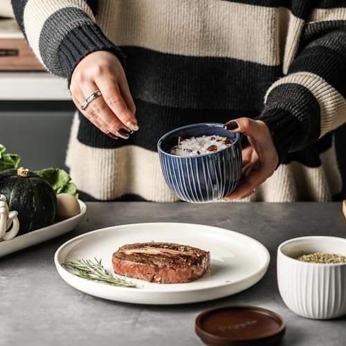 Ceramic Salt and Pepper Bowls: 10 oz Stackable Spice Cellar with Blue & White