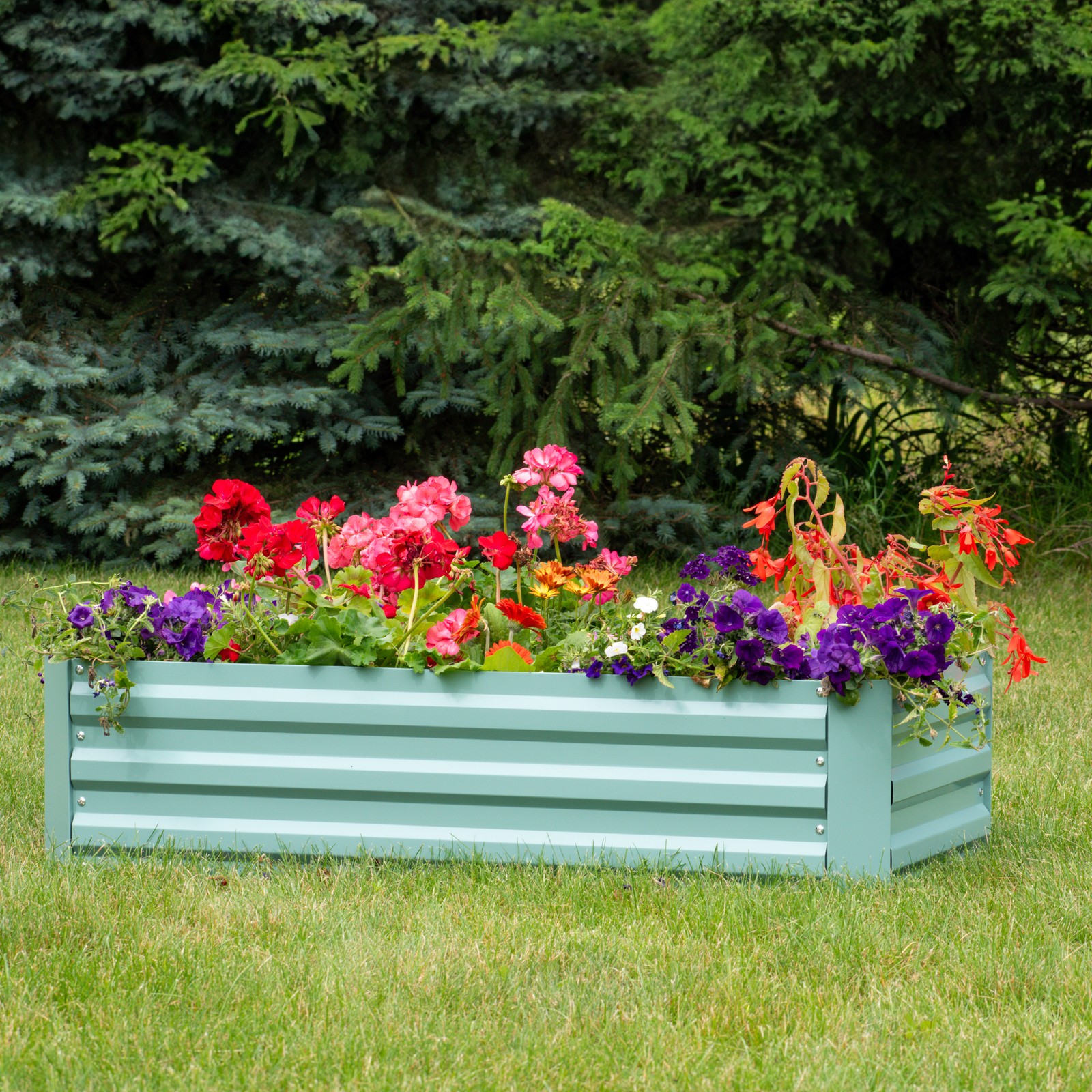 Rectangle Galvanized Steel Raised Bed - 4 x 2 x 1 ft - Green by Sunnydaze