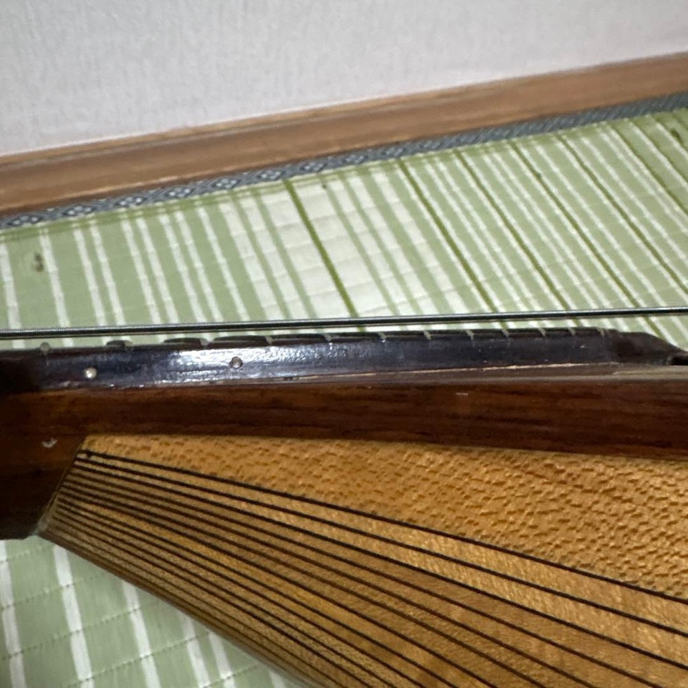 Raffaele Terada Musical Instruments High End Mandolin RM-3 String Guitar