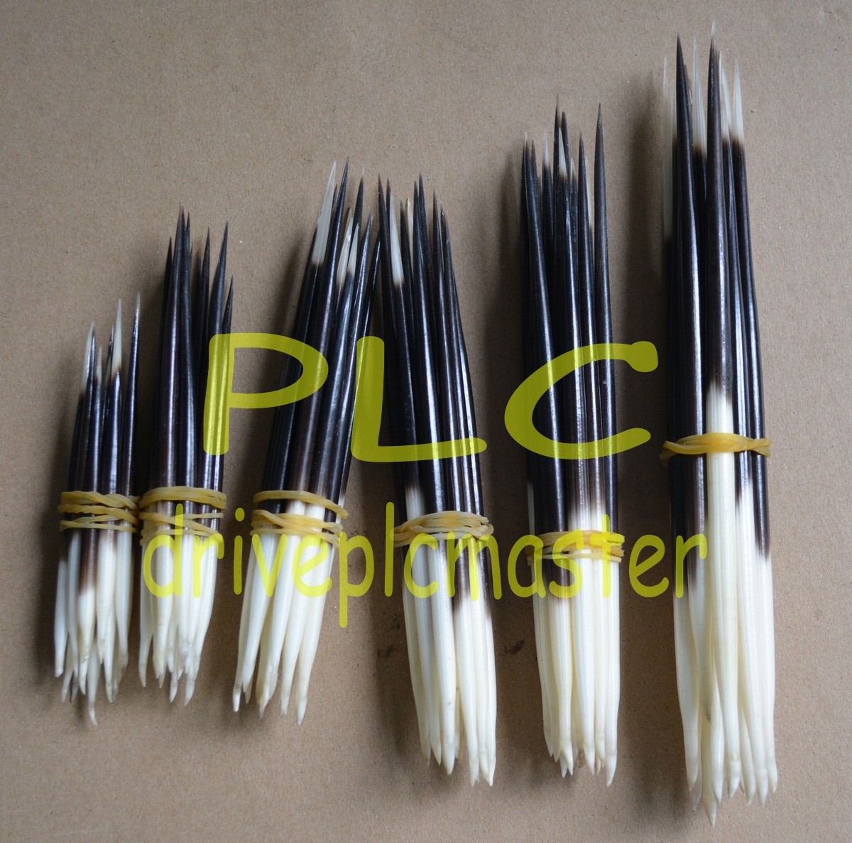 10pcs Porcupine Quills Jewelry Craft Hair Stick Weaving Beading Assorted Craft #